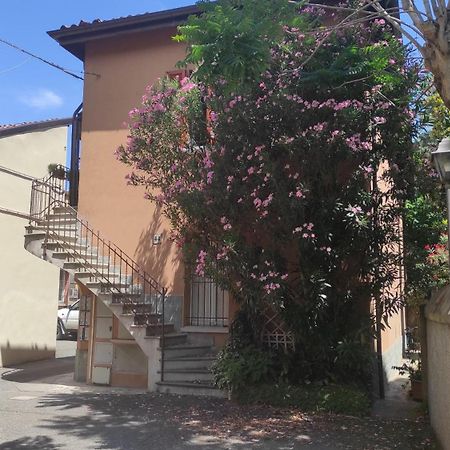 博洛尼亚Borghetto 36公寓 外观 照片